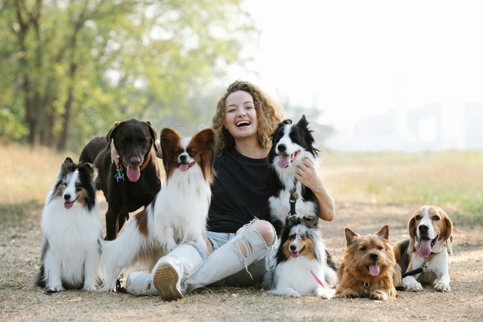 Happy woman sitting with various dog breeds in a sunny outdoor park